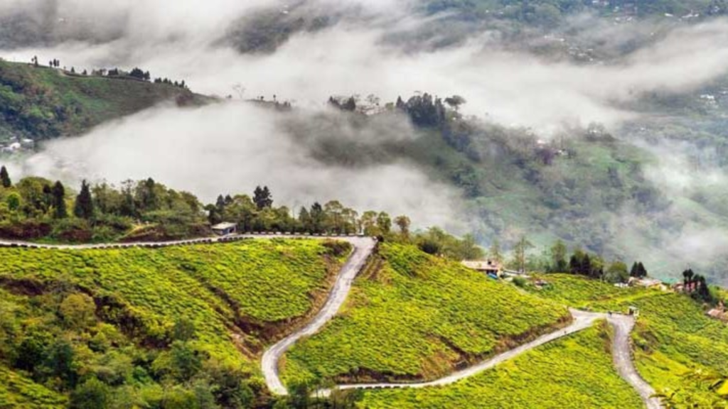 দার্জিলিংয়ের সেলপু