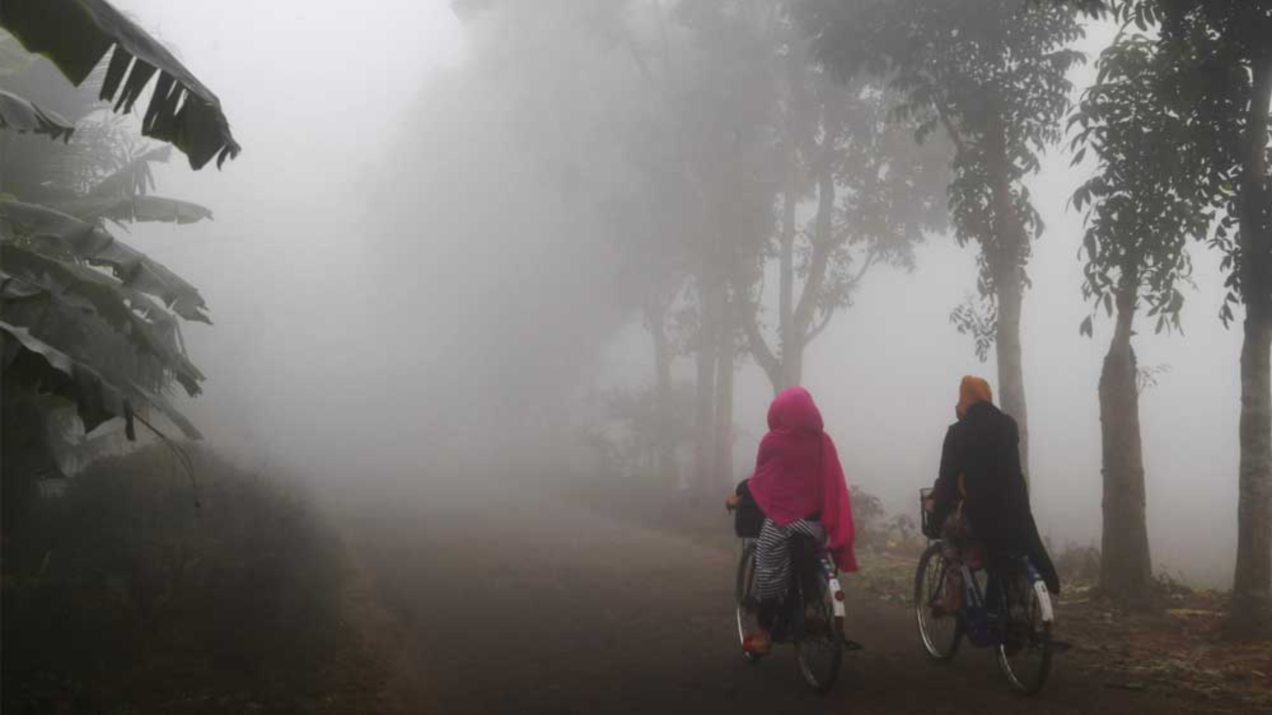শীতের আমেজ