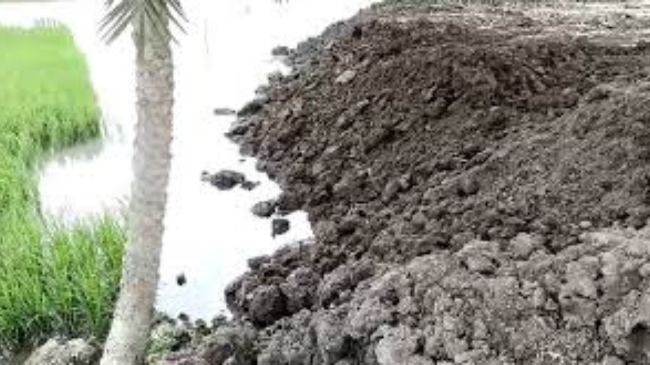 কসবা এলাকায় ক্ষমতার লড়াই