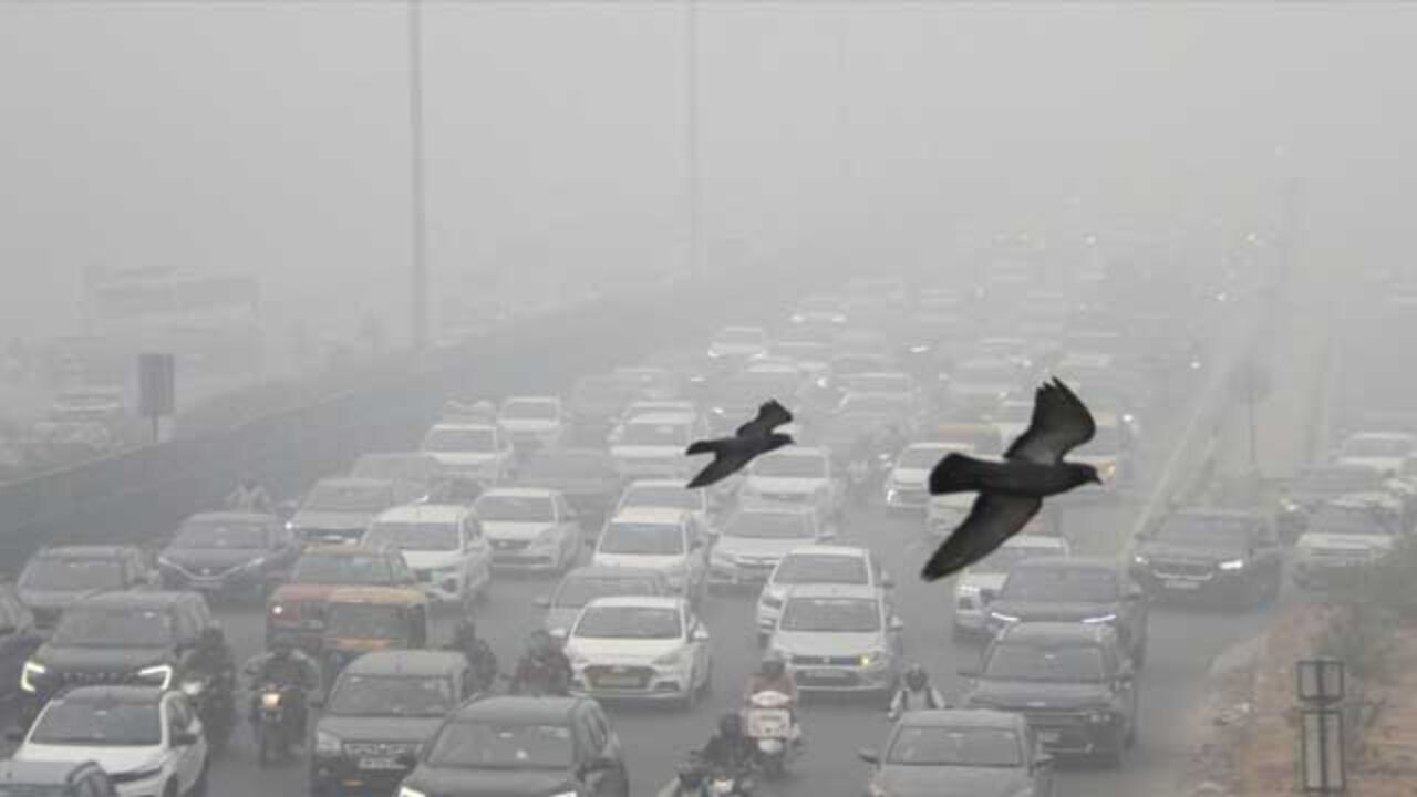 কৃত্রিম বৃষ্টি চাইছেন মন্ত্রী