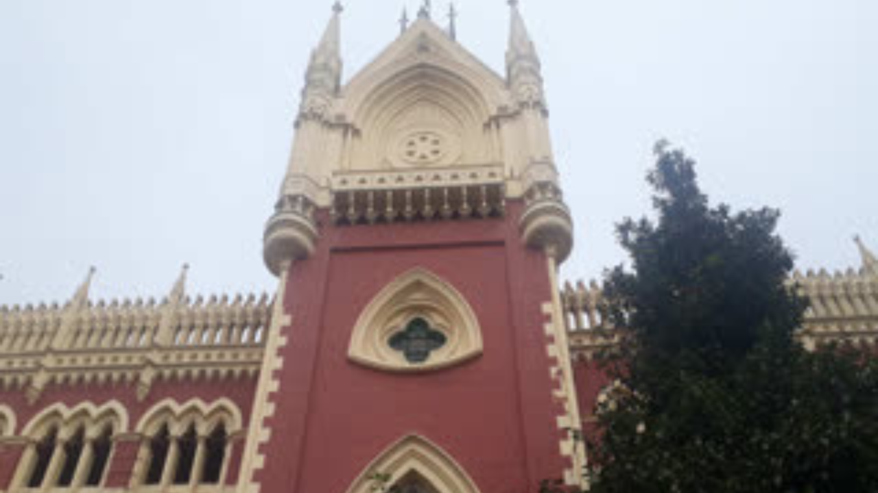 কলকাতা হাইকোর্টে পুলিশের নির্যাতন নিয়ে তদন্তে নতুন দিক