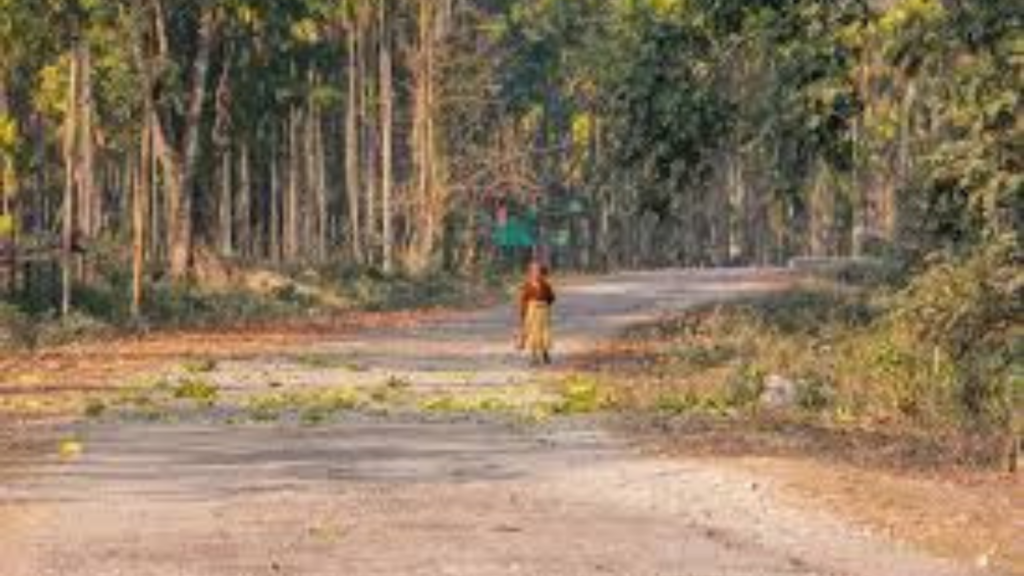 বক্সার জঙ্গলে