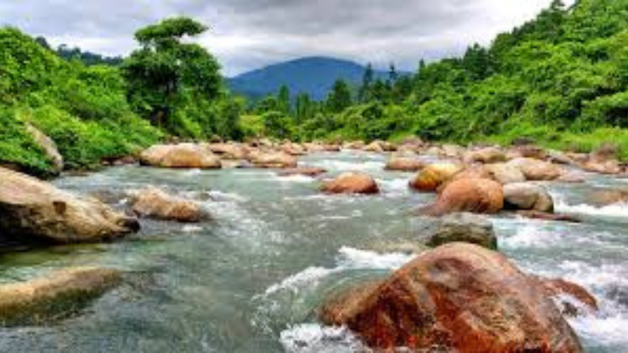 ঘুরে আসুন ডুয়ার্স