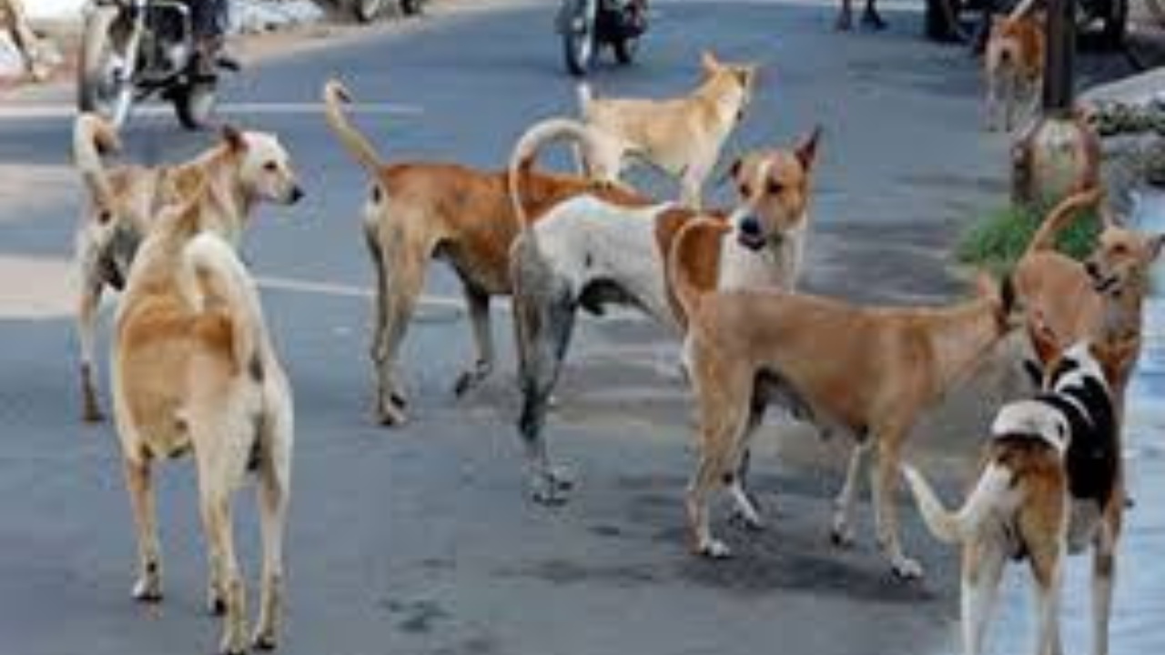 রাস্তার