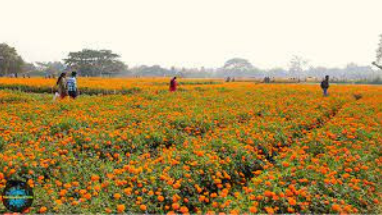 ফুলের দুনিয়া