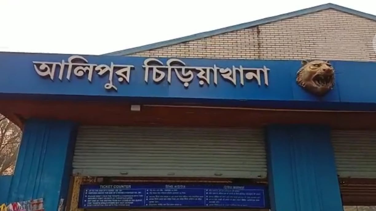 আলিপুর চিড়িয়াখানার নতুন আকর্ষণ
