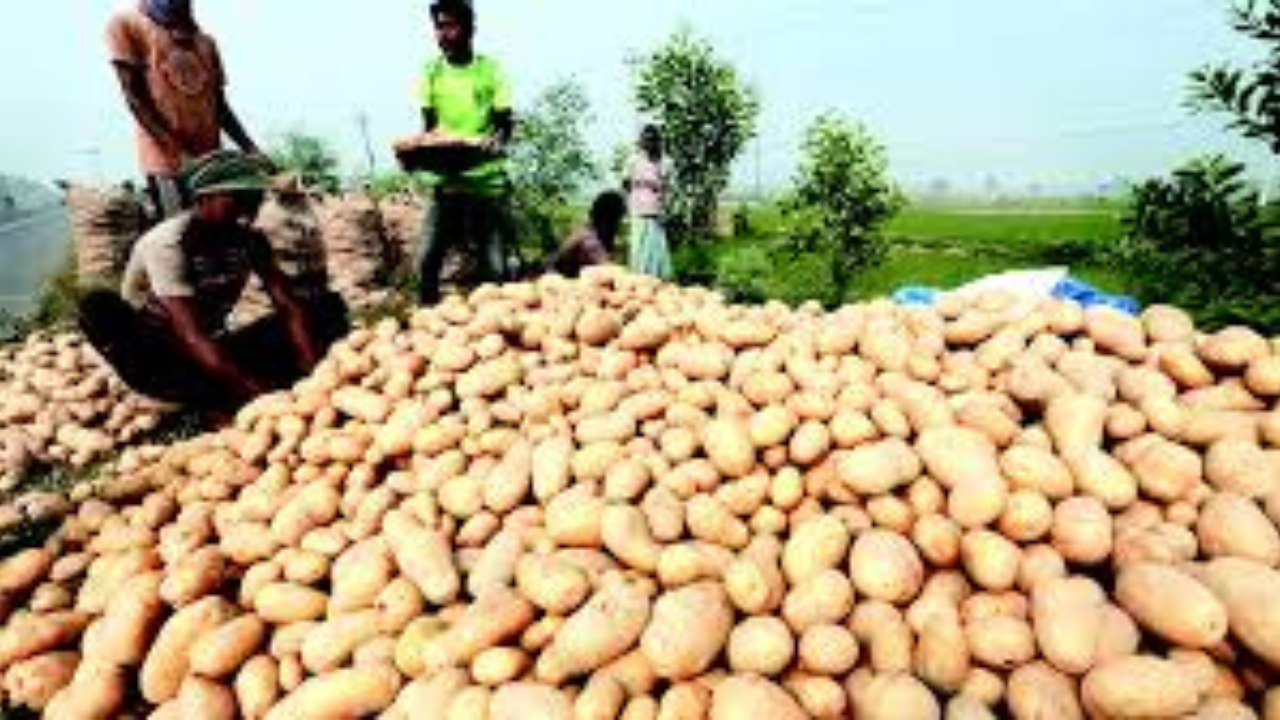 আলু রফতানি নিষেধাজ্ঞার