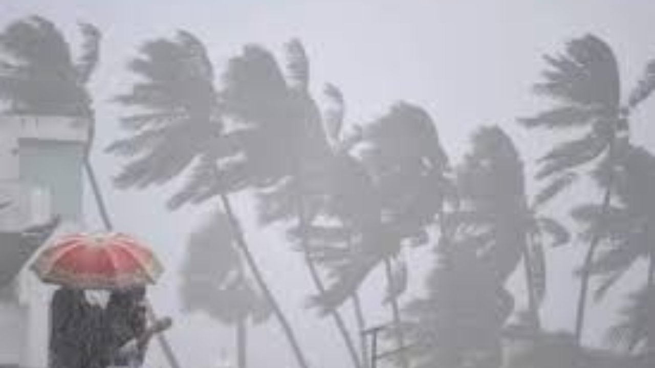 ফেনজলের দাপট