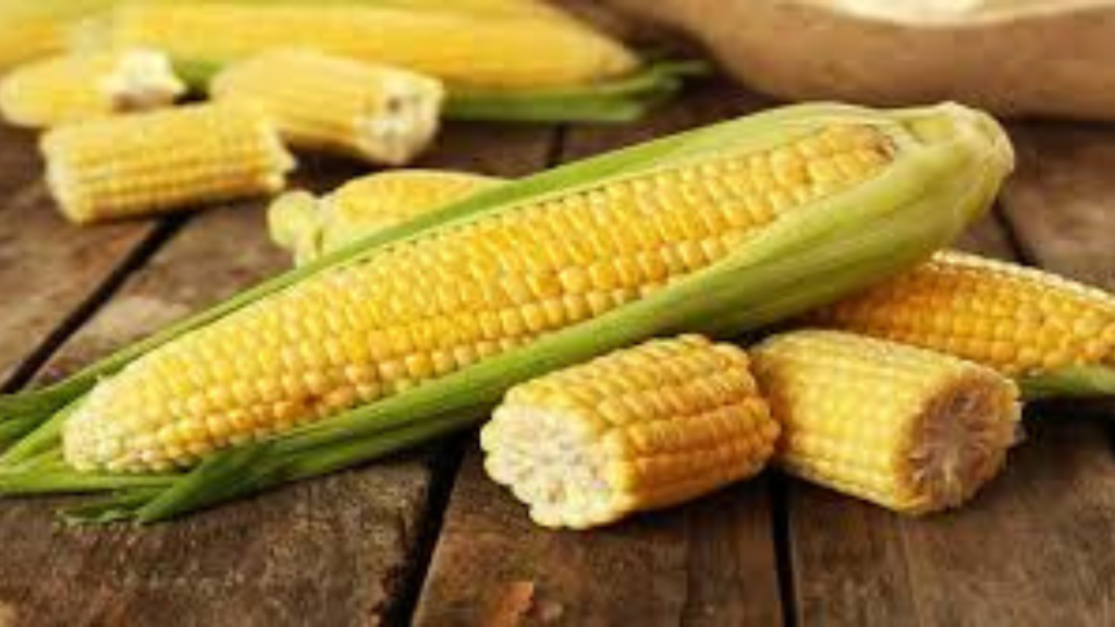 ভুট্টা স্বাস্থ্যের জন্য উপকারী