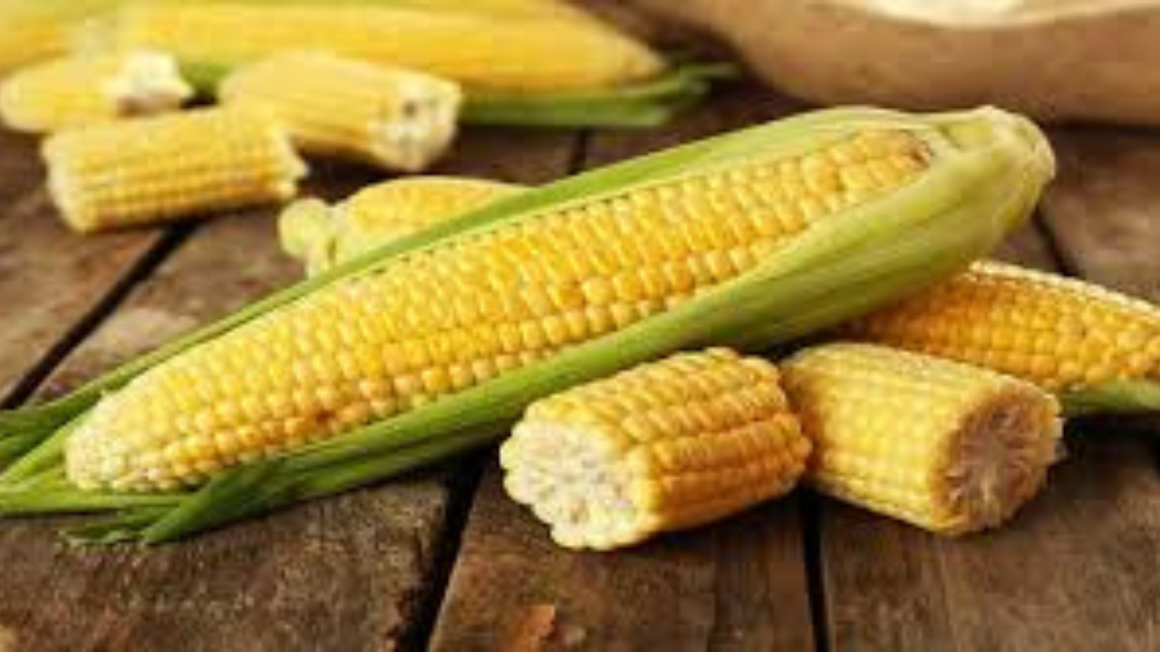 ভুট্টা স্বাস্থ্যের জন্য উপকারী