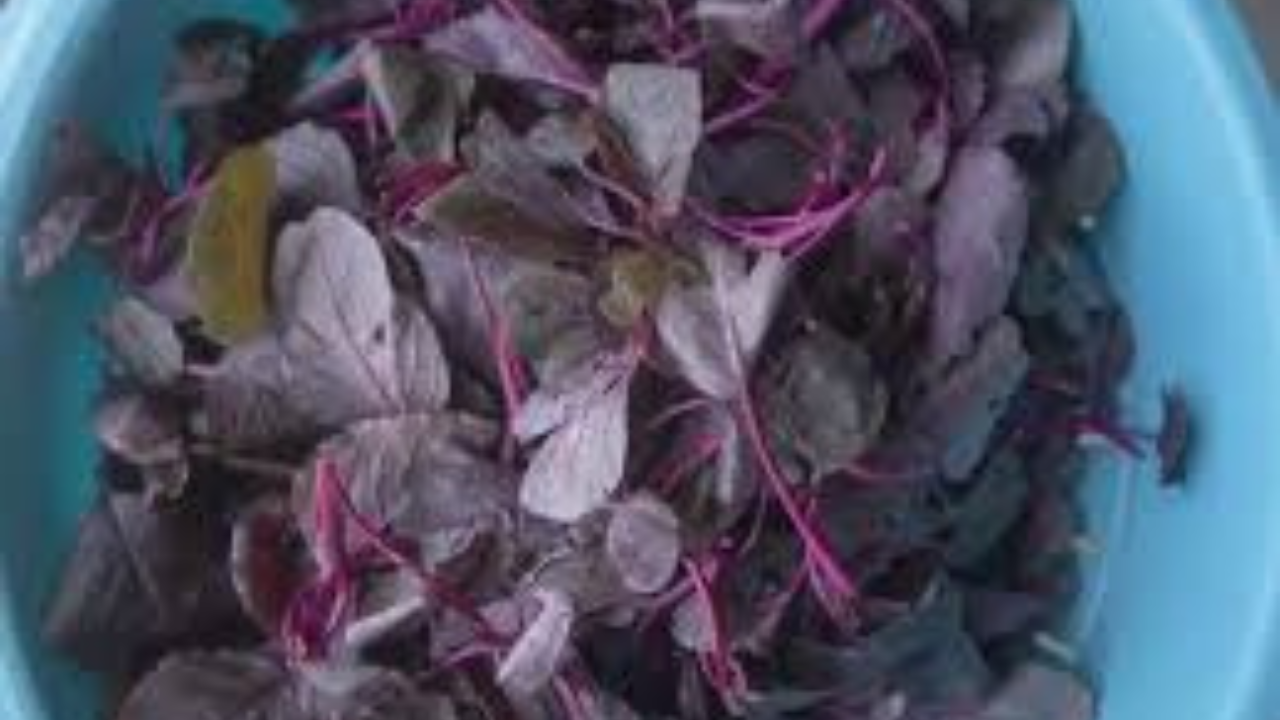 স্বাস্থ্যকর শাক হল লাল পালং