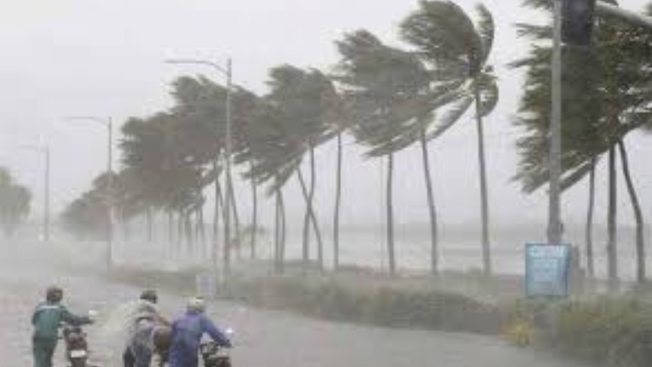 তামিলনাড়ুর উপকূলে