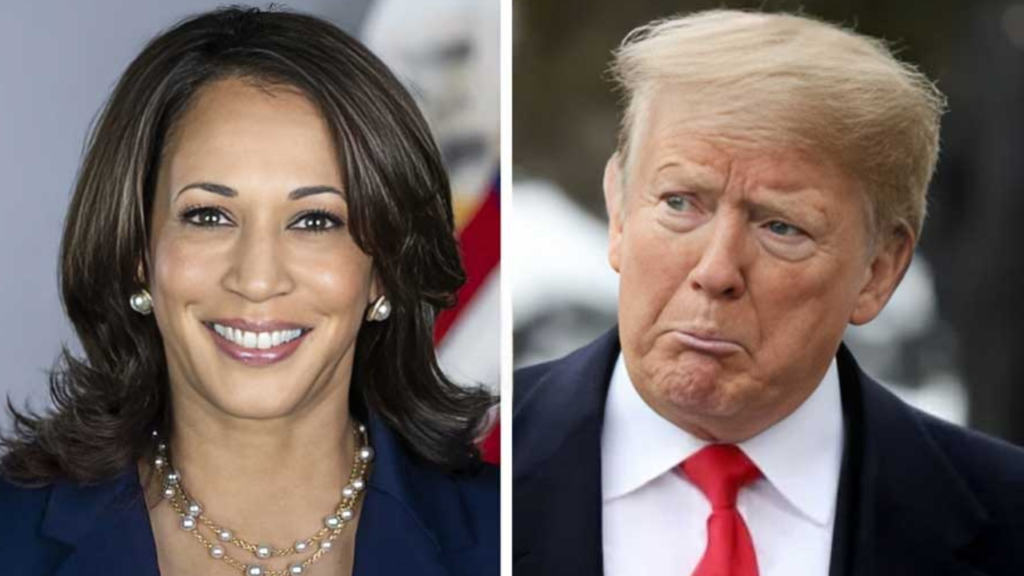 ট্রাম্প বনাম কমলাঃএকে অপরকে হারাতে মরিয়া, সমীক্ষায় উত্তেজনা চরমে