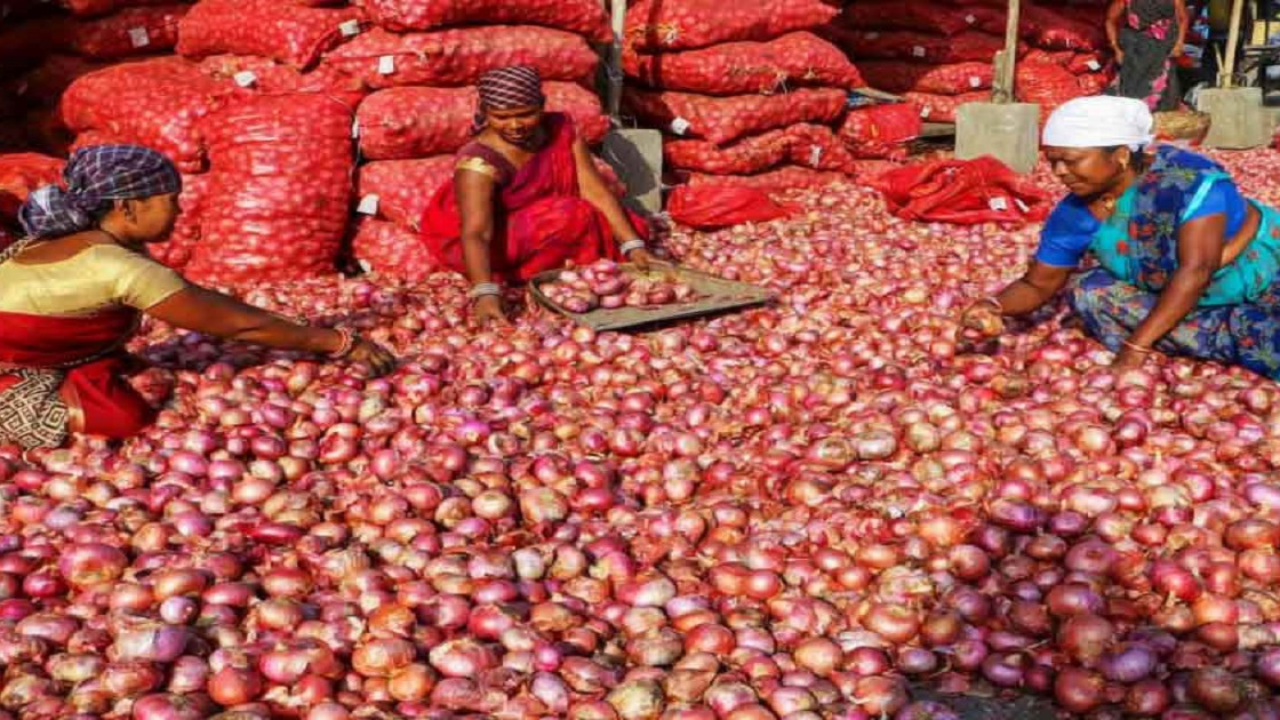 ৩৫ টাকা কিলো পেঁয়াজ