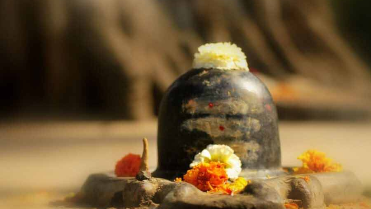 ৪৬ বছর পর খুলল সম্ভল শহরের পুরনো মন্দির