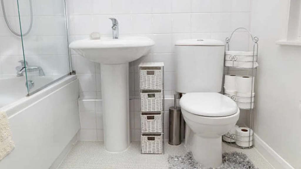 বাথরুমের দুর্গন্ধে প্রান ওষ্ঠাগত