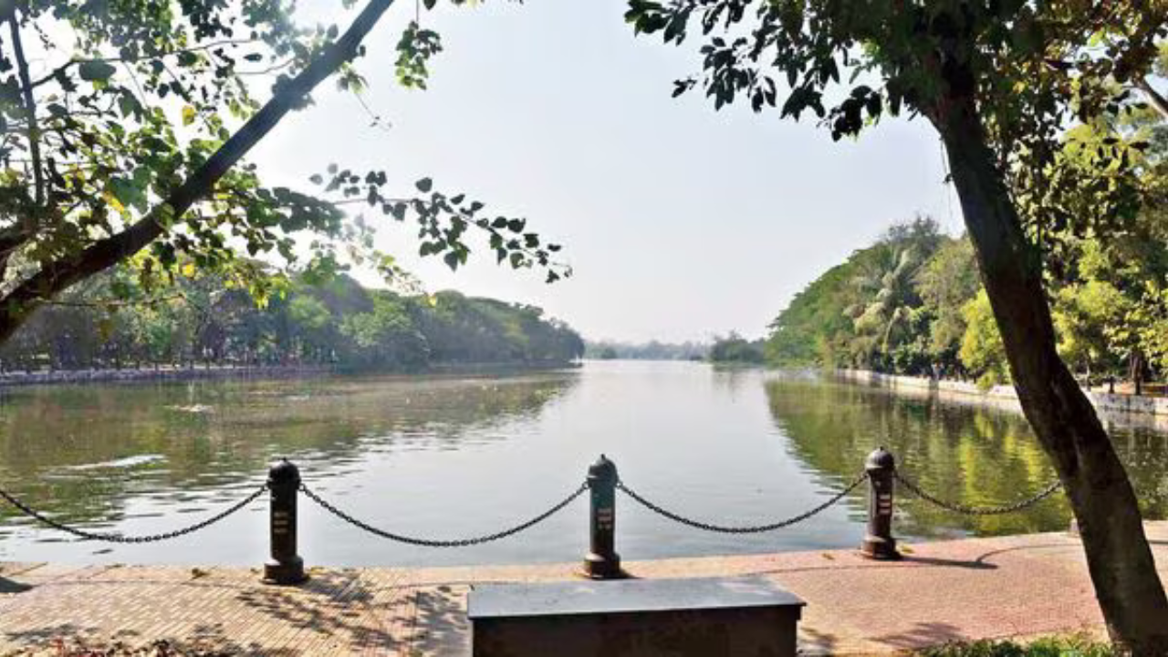 রবীন্দ্র সরোবর পক্ষী শূন্য