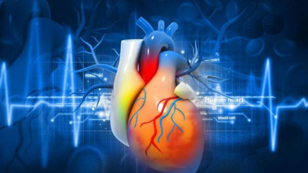 ছোটবেলা থেকেই হার্ট অ্যাটাকের ঝুঁকি কমানো সম্ভব