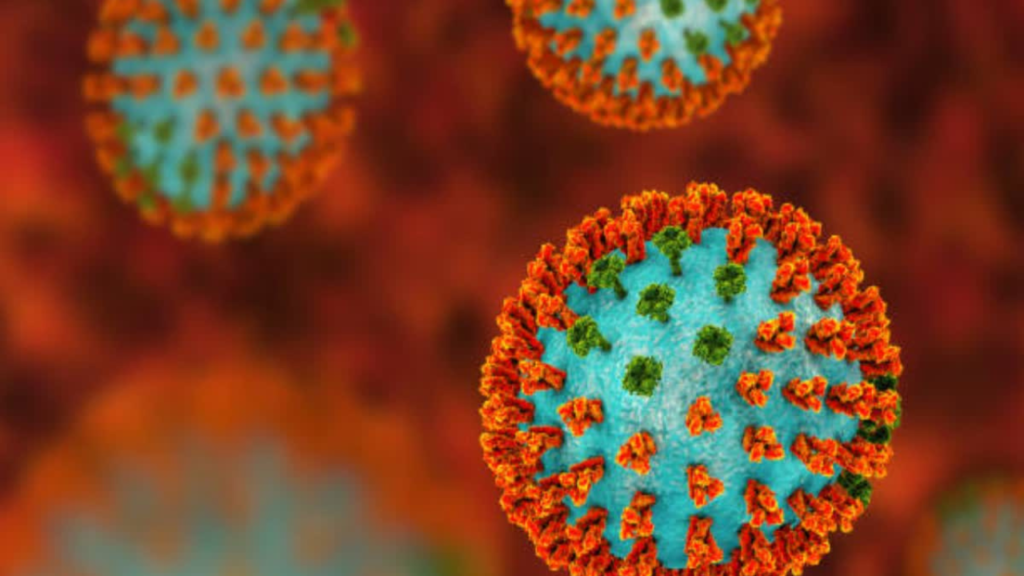 নতুন বছরে কি নতুন রোগের আতঙ্ক?