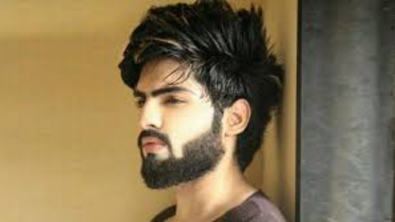 চাপদাড়ির