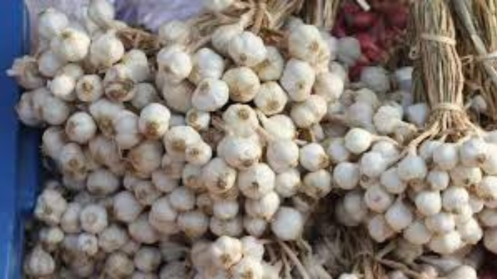 ক্ষতিকারক চিনা রসুন