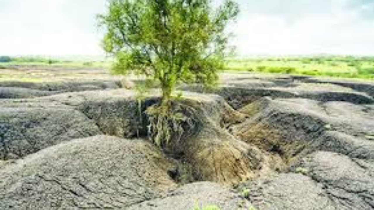 বিশ্বজুড়ে ভূমিক্ষয়