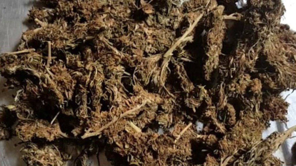 সেডান গাড়ি থেকে উদ্ধার ১০০ কেজি গাঁজা