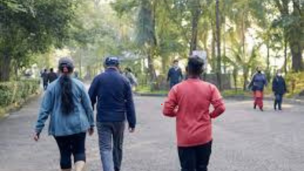 শীতকালে ভোরবেলা কষ্ট করে উঠে হাঁটার পরও মেদ ঝরছে না?