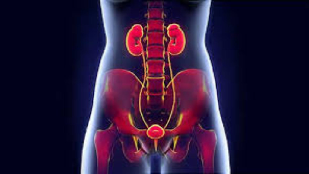 মূত্রনালির সংক্রমণ