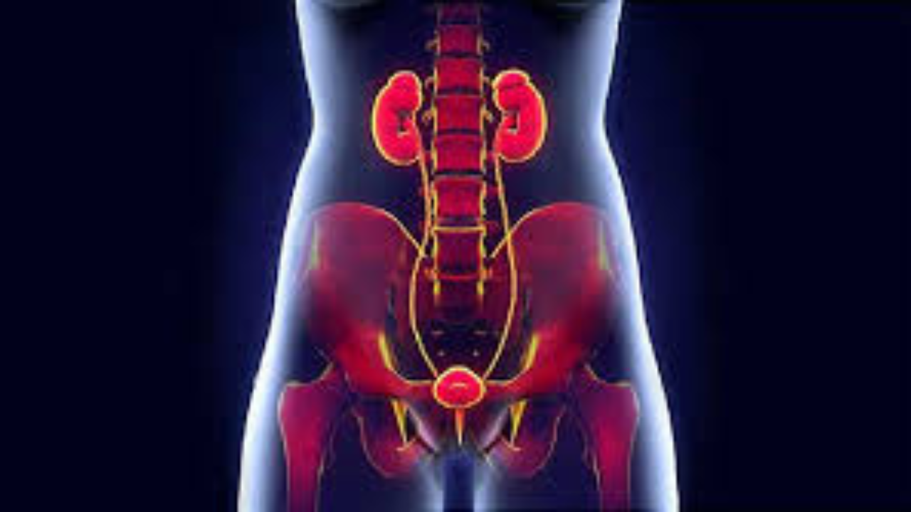 মূত্রনালির সংক্রমণ