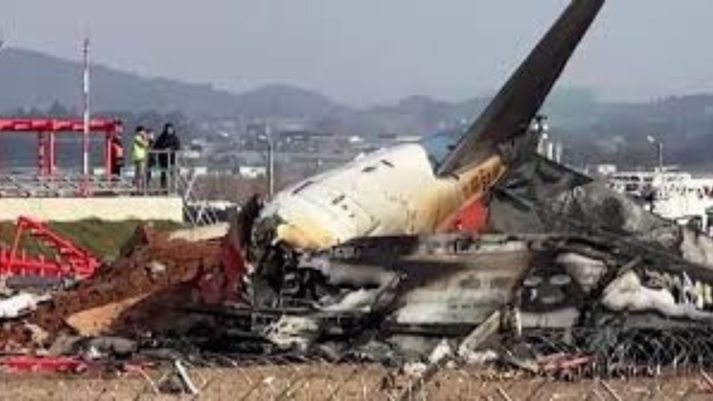 দক্ষিণ কোরিয়ায় বিমান দুর্ঘটনায় দুই জীবিত ফ্লাইট অ্যাটেনডেন্ট