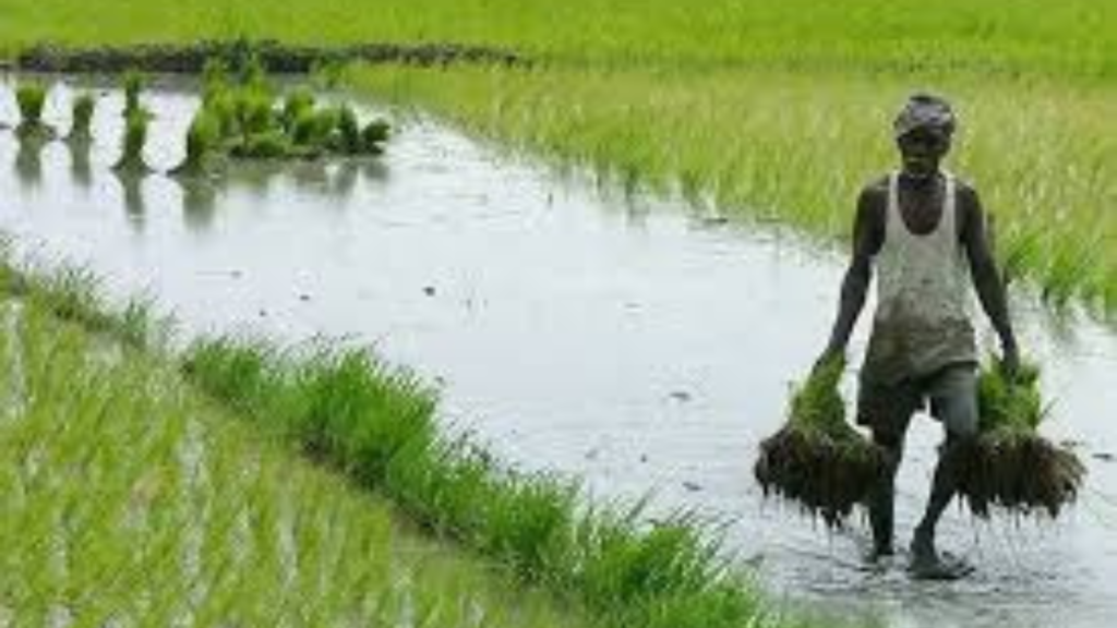 মোদী সরকারের কৃষকদের জন্য নতুন বছরের উপহার