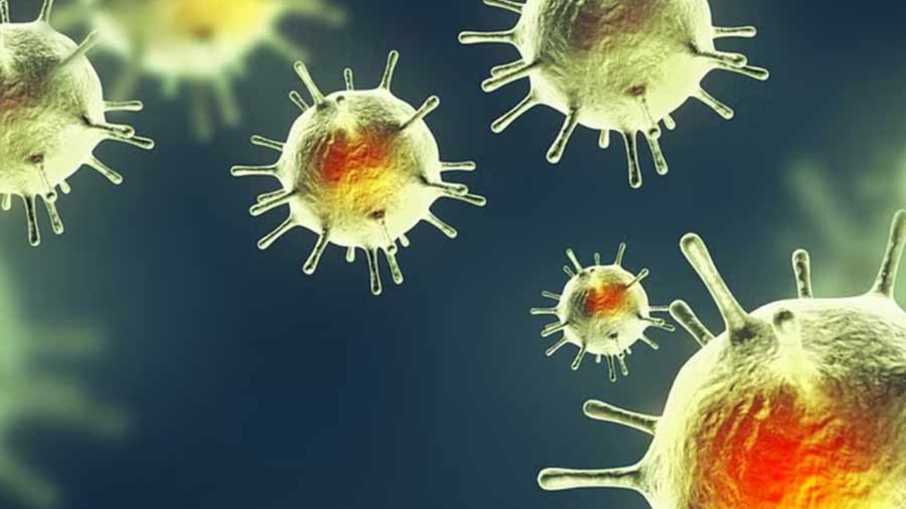 চিনে নতুন ভাইরাস আতঙ্ক