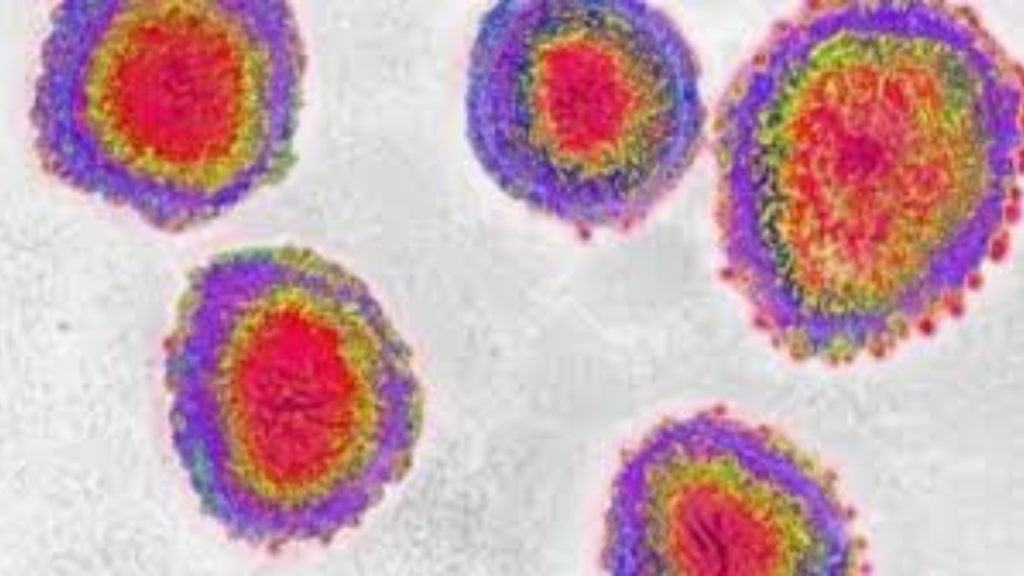 "চীনা ভাইরাস" নামে পরিচিত HMPV