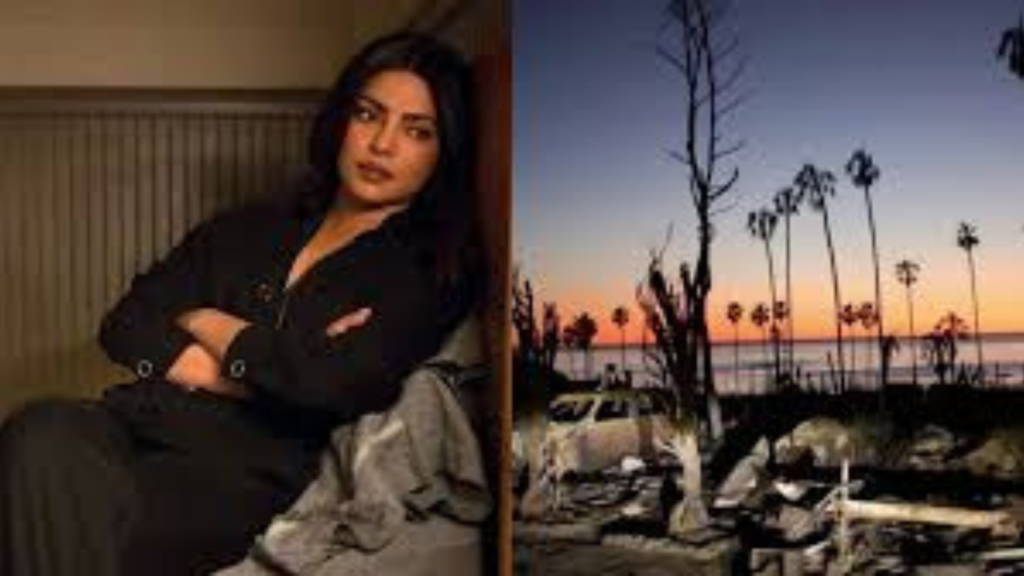লস অ্যাঞ্জেলেসের দাবানলের ধ্বংসলীলায় শোক প্রকাশ প্রিয়াঙ্কা চোপড়ার