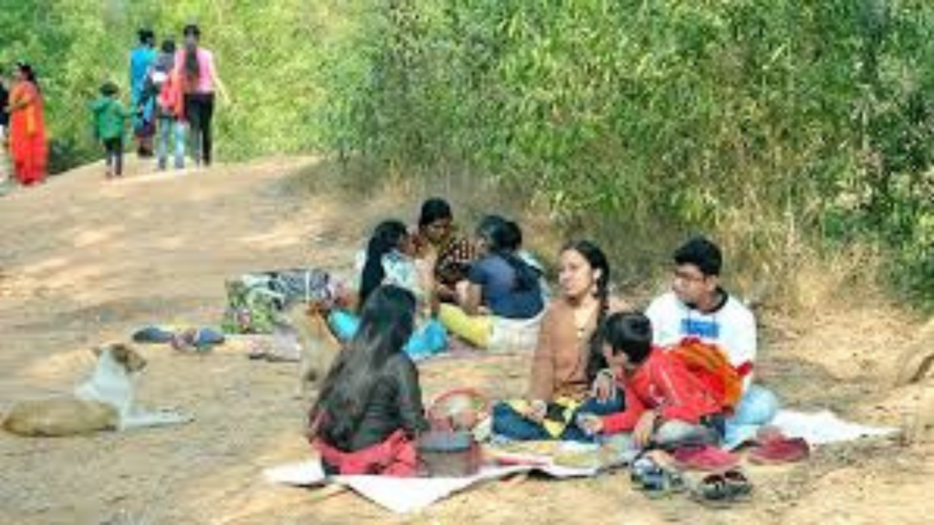 শীতকালে পরিবারের সঙ্গে একদিনের পিকনিকের আদর্শ স্থান কলকাতার কাছাকাছি পুজালির পার্ক