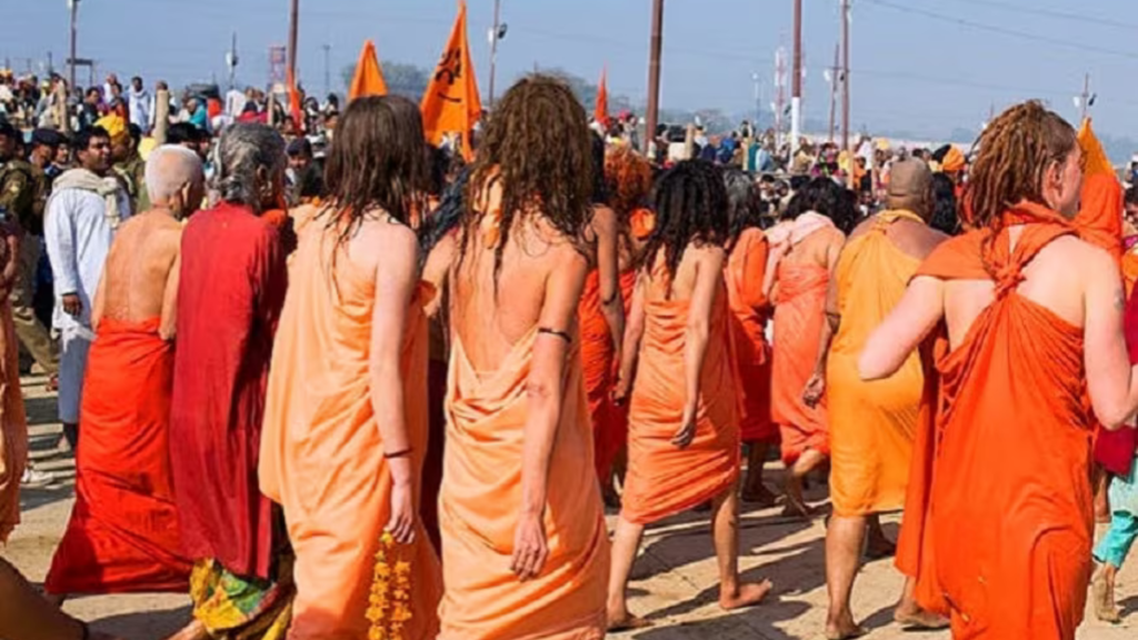 আইআইটি পাশ সাধু