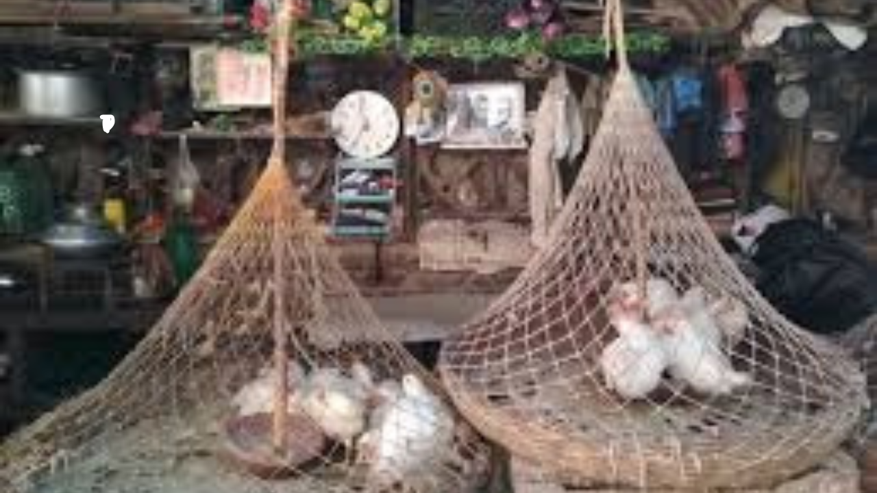 এবার বন্ধ হতে চলেছে খোলাবাজারে মুরগির মাংস বিক্রি