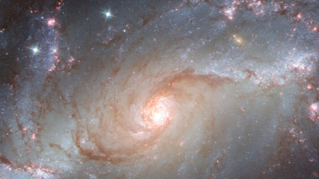 নাসার দ্বারা স্বীকৃত ভারতের ছাত্র