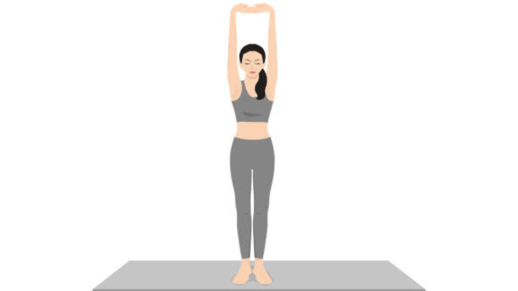 তাড়াসন