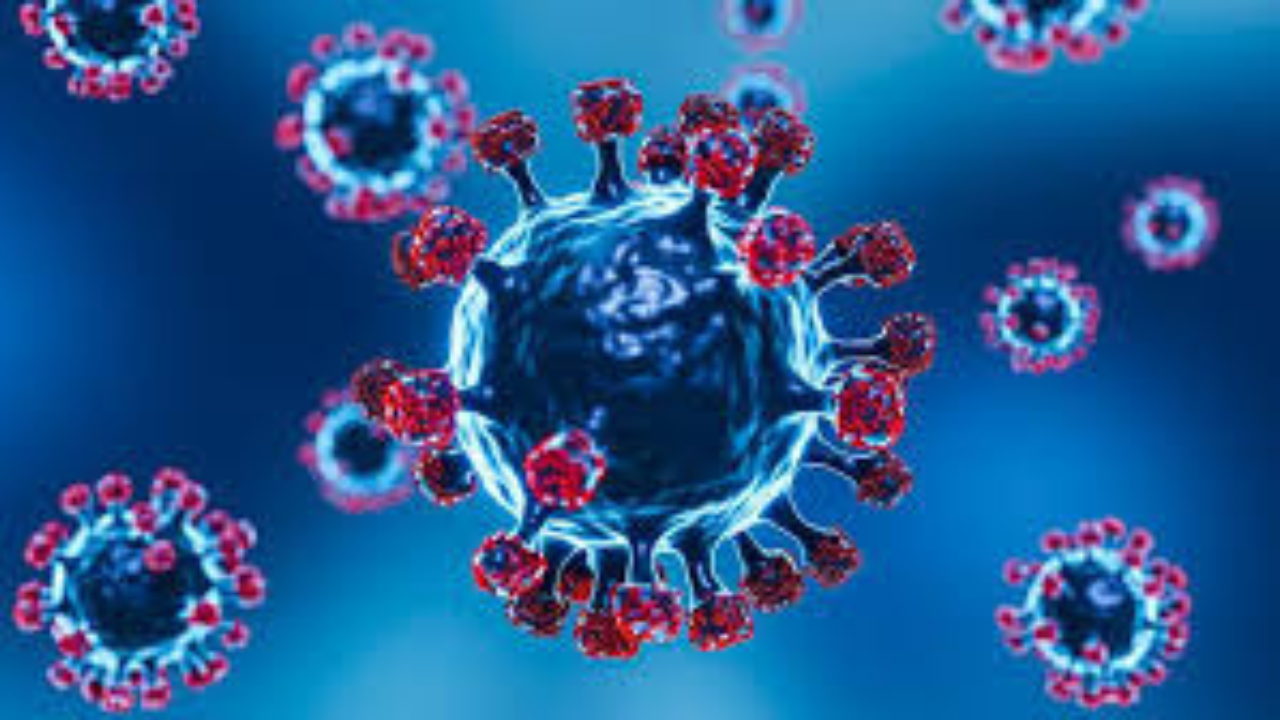 চিনে বাদুড় থেকে আসা নতুন করোনাভাইরাসের আতঙ্ক