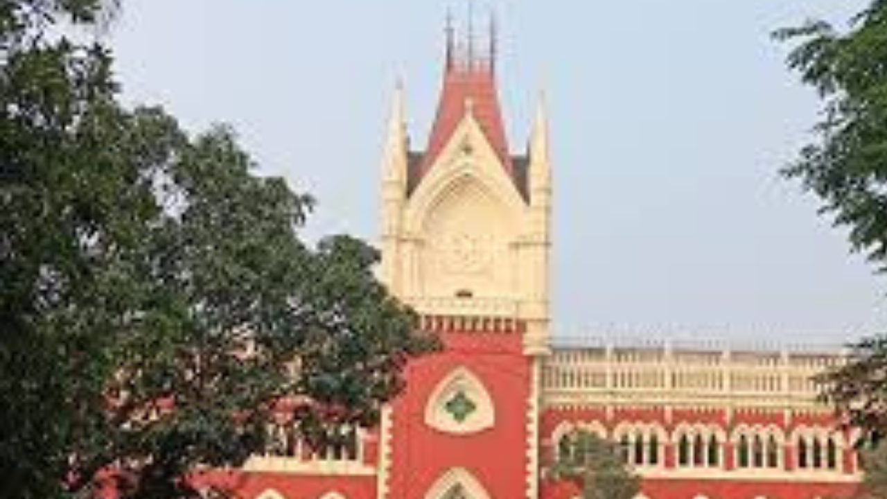 কলকাতা হাই কোর্টে নীল-সাদা রং নিয়ে জনস্বার্থ মামলা