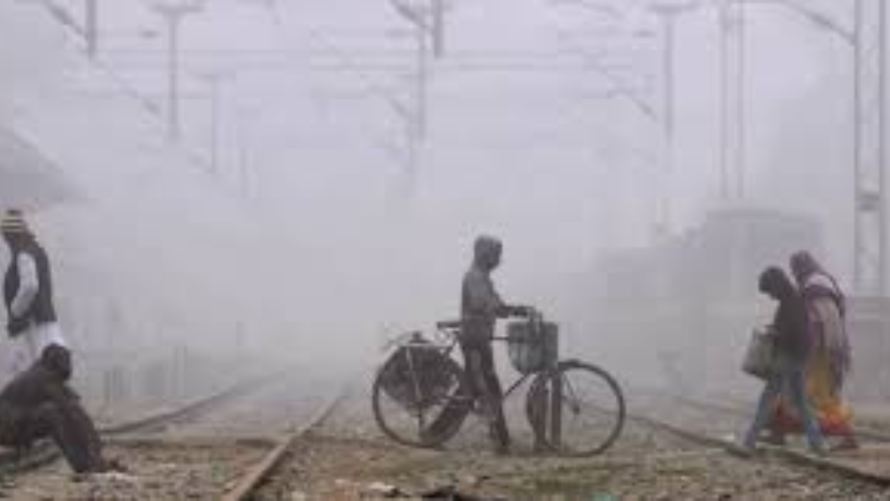 এ বছর আর জাঁকিয়ে শীত পড়ার কোনো সম্ভাবনা নেই জানিয়ে দিলো আবহাওয়া দফতর