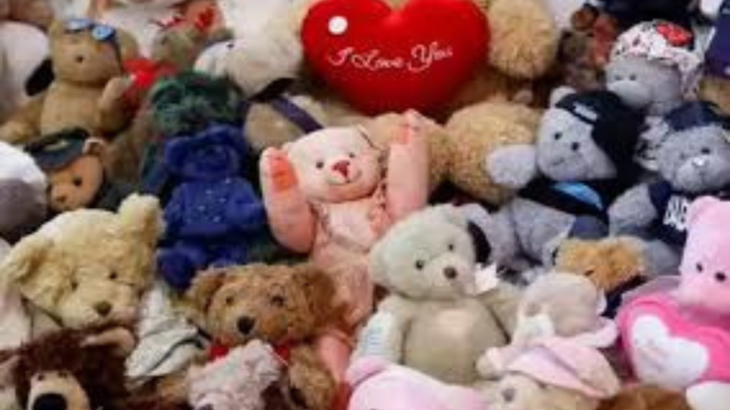 ভ্যালেন্টাইন সপ্তাহে টেডি ডের এক টুকরো ইতিহাস