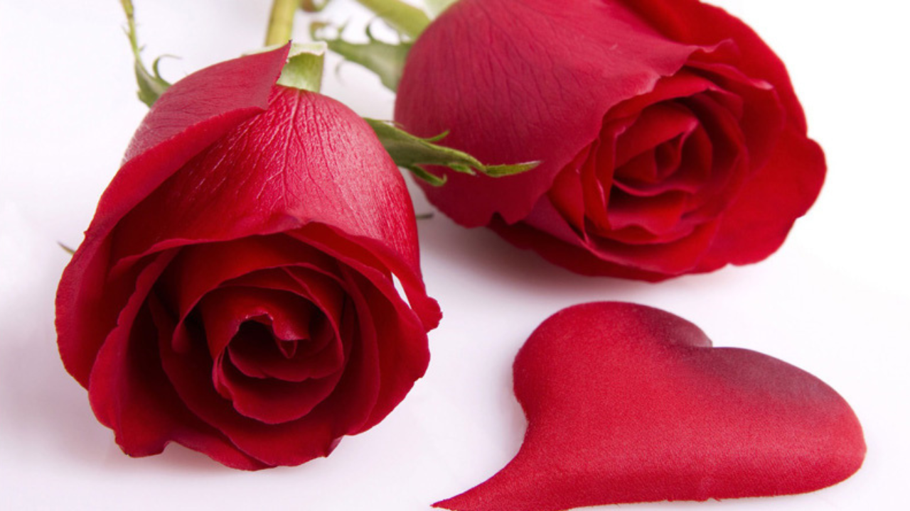 ভ্যালেনটাইনস ডে-র নেপথ্যের করুণ ইতিহাস থেকে আজকের প্রেমের উৎসব