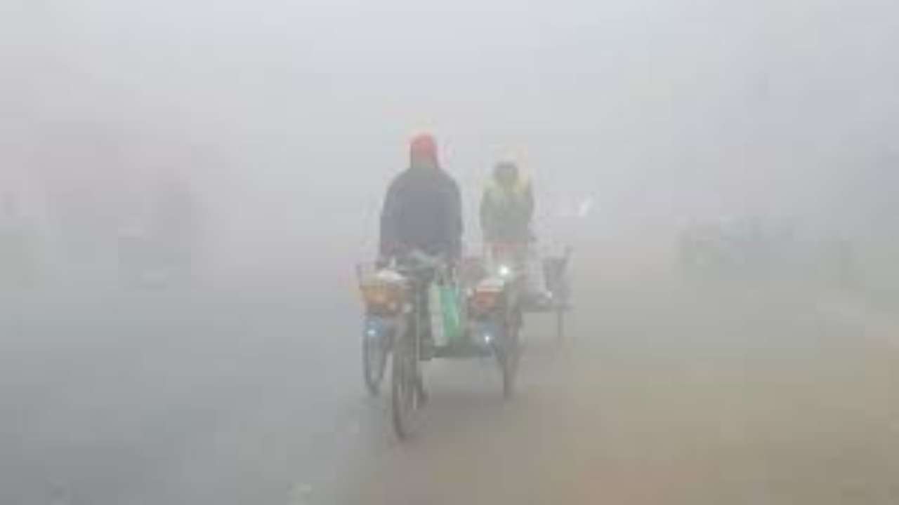 মাঘ মাসের শেষ লগ্নে শীতের অবসান