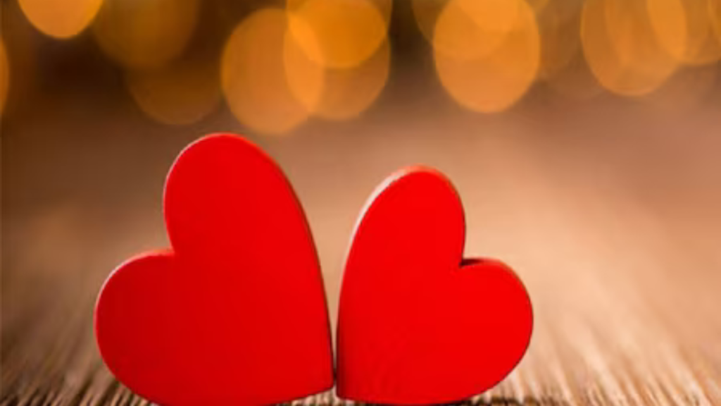 Valentine Day বা ভালবাসা দিবসে জানুন কোন রাশির জন্য কোন রাশির সংযোগ শুভ।