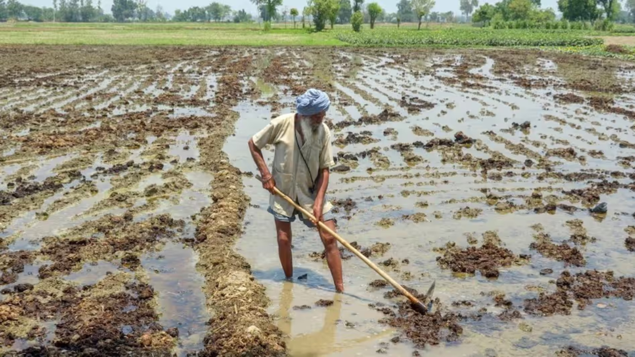 কৃষকদের জন্য বড় ঘোষণা