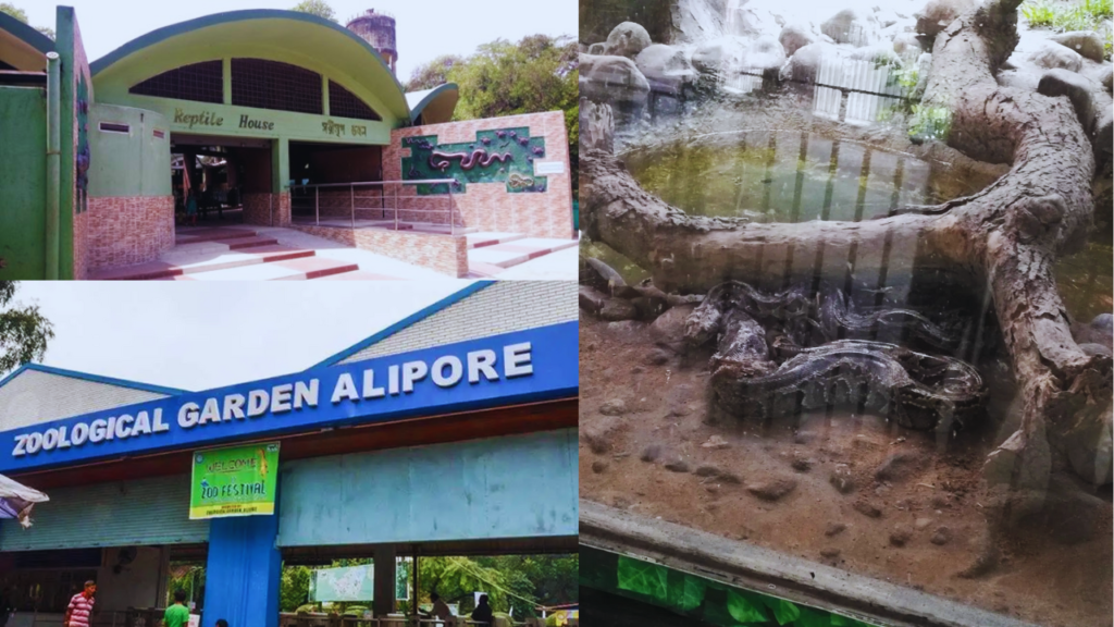 Alipore Zoo