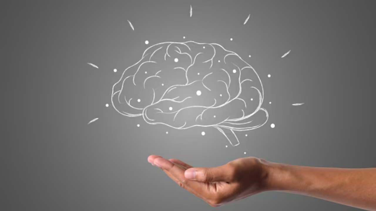 brain